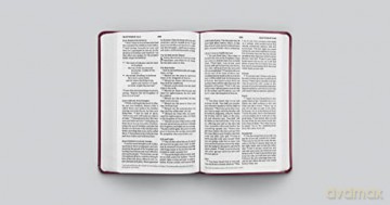 ESV Value Thinline Bible [KSIĄŻKA]