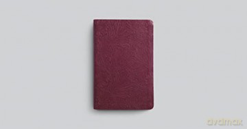 ESV Value Thinline Bible [KSIĄŻKA]