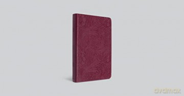 ESV Value Thinline Bible [KSIĄŻKA]