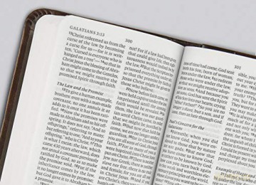 ESV Vest Pocket New Testament with Psalms and Proverbs: English Standard Verson Vest Pocket New Testament With Psalms and Proverbs, Silver Sword, Trutone [KSIĄŻKA]