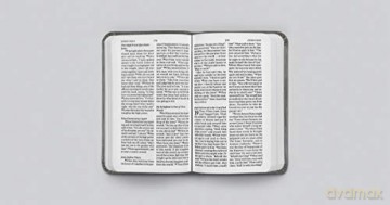 ESV Vest Pocket New Testament with Psalms and Proverbs: English Standard Verson Vest Pocket New Testament With Psalms and Proverbs, Silver Sword, Trutone [KSIĄŻKA]