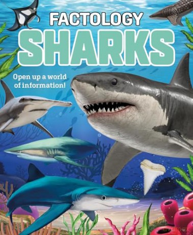 Factology: Sharks: Open Up a World of Information! [KSIĄŻKA]