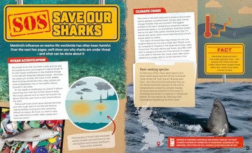 Factology: Sharks: Open Up a World of Information! [KSIĄŻKA]