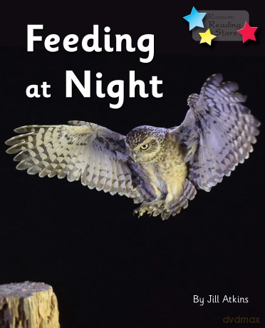 Feeding at Night: Phonics Phase 3 [KSIĄŻKA]