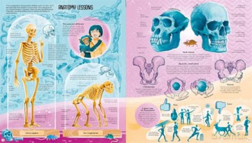 Femina Sapiens [KSIĄŻKA]