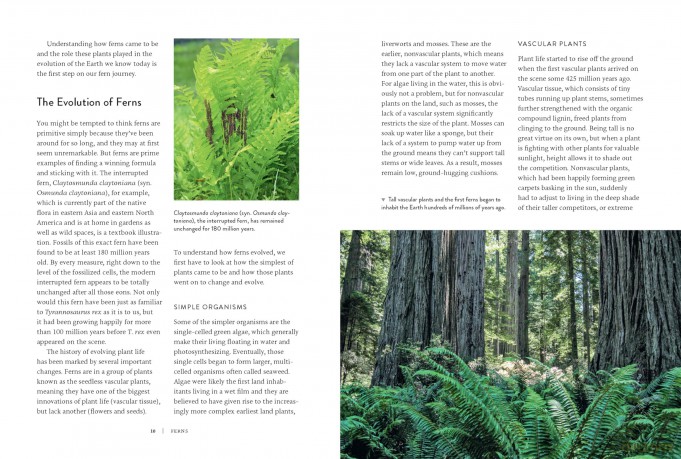 Ferns: Indoors - Outdoors - Growing - Crafting [KSIĄŻKA]