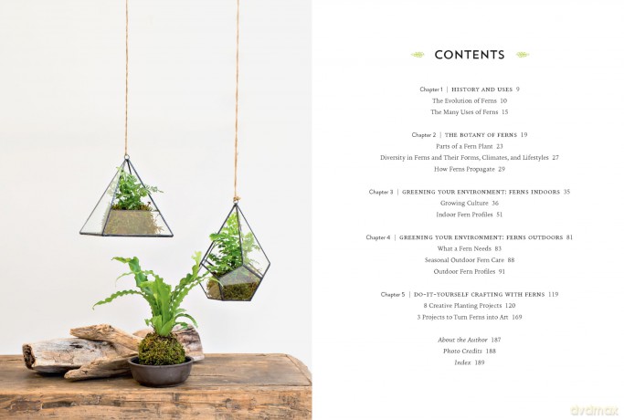 Ferns: Indoors - Outdoors - Growing - Crafting [KSIĄŻKA]