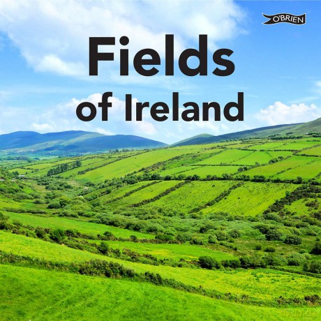 Fields of Ireland [KSIĄŻKA]