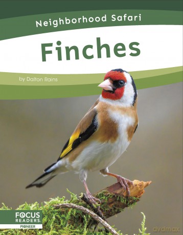 Finches [KSIĄŻKA]