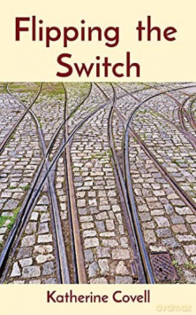 Flipping the Switch [KSIĄŻKA]