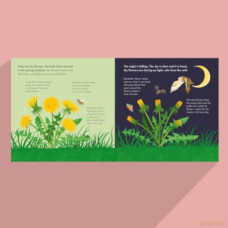 Fluffy, Flying Seed: [KSIĄŻKA]