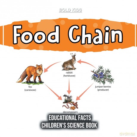 Food Chain Educational Facts Children's Science Book [KSIĄŻKA]