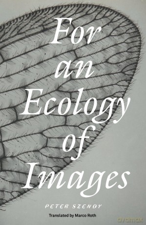 For an Ecology of Images [KSIĄŻKA]