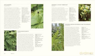 For the Love of Plants: Over 150 Plants to Bring Joy to Your Garden and Your Life [KSIĄŻKA]