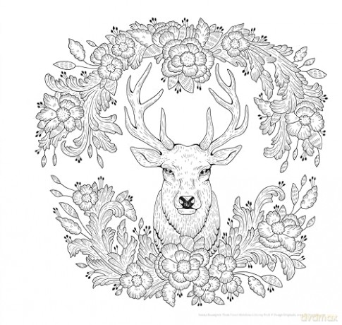 Forest Mandalas Coloring Book: Fun Woodland Creatures and Scenes to Color [KSIĄŻKA]