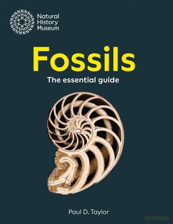 Fossils: The essential guide [KSIĄŻKA]