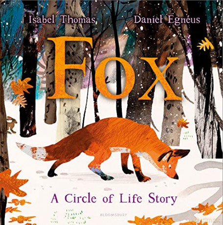 Fox: A Circle of Life Story [KSIĄŻKA]