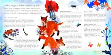 Fox: A Circle of Life Story [KSIĄŻKA]