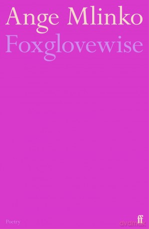 Foxglovewise [KSIĄŻKA]