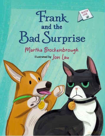 Frank and the Bad Surprise [KSIĄŻKA]