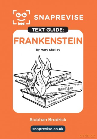 Frankenstein Text Guide: AQA GCSE English Literature Revision Book | Includes Analysis, Key Quotes, Character Insights, and Sample Essays for Top Grades [KSIĄŻKA]