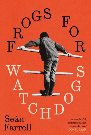 Frogs for Watchdogs: 'A stunning novel that will live long in my imagination.' DONAL RYAN [KSIĄŻKA]