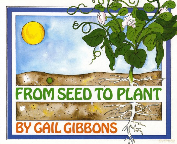 From Seed to Plant [KSIĄŻKA]