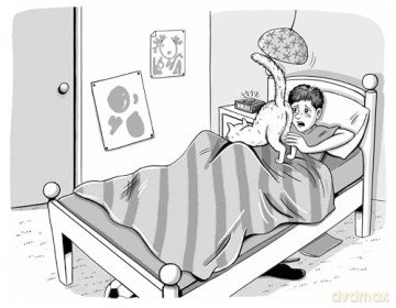 Game On: Critters: 3 [KSIĄŻKA]