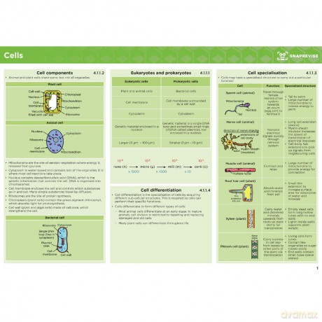 GCSE AQA Biology Higher Summary Sheets [KSIĄŻKA]