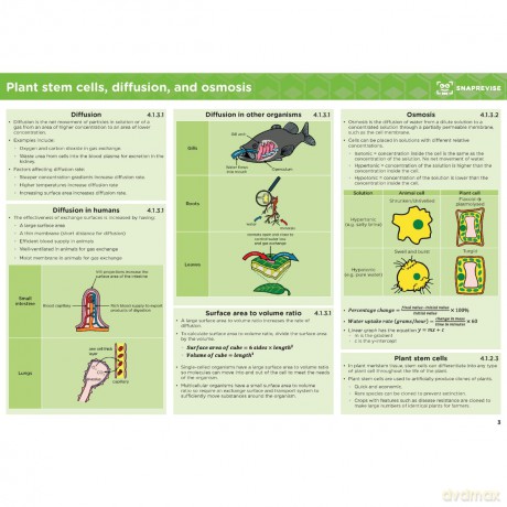GCSE AQA Biology Higher Summary Sheets [KSIĄŻKA]
