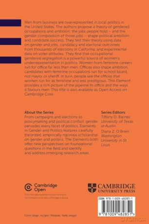 Gendered Jobs and Local Leaders: Women, Work, and the Pipeline to Local Political Office [KSIĄŻKA]