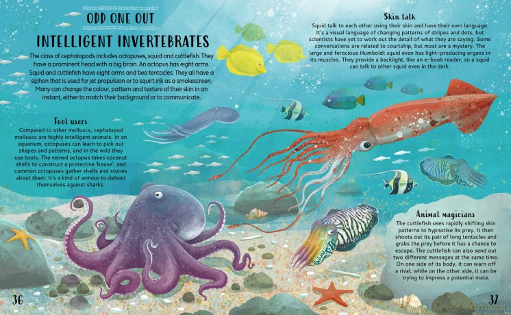 Get Your Animals in Order: Classifying the Animal World [KSIĄŻKA]