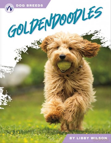 Goldendoodles [KSIĄŻKA]