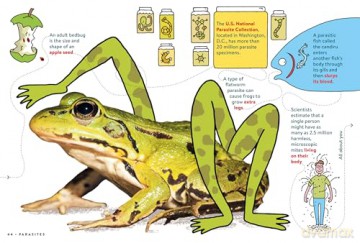 Gross FACTopia! - Follow the Trail of 400 Foul Facts Britannica [KSIĄŻKA]