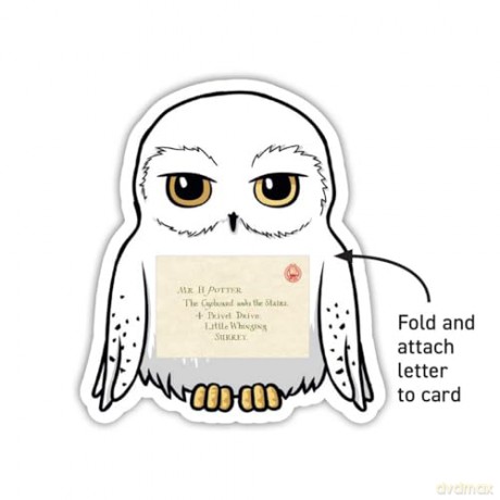 Harry Potter: Owl Post Super Valentines: School Valentines [KSIĄŻKA]