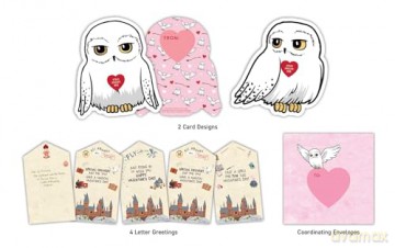 Harry Potter: Owl Post Super Valentines: School Valentines [KSIĄŻKA]