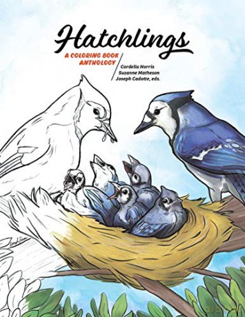 Hatchlings: A Coloring Book Anthology: 1 [KSIĄŻKA]