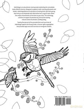 Hatchlings: A Coloring Book Anthology: 1 [KSIĄŻKA]