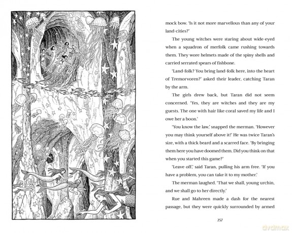 Hedgewitch: Seawitch: Book 3: The enchanting series brimming with mystery and magic [KSIĄŻKA]