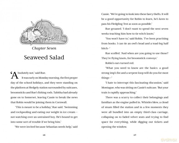 Hedgewitch: Seawitch: Book 3: The enchanting series brimming with mystery and magic [KSIĄŻKA]