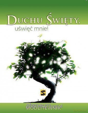 Duchu Święty uświęć mnie! Modlitewnik [KSIĄŻKA]