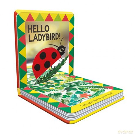 Hello Bee!: A minibeast search-and-find mirror book [KSIĄŻKA]