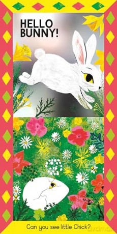 Hello Bunny!: An Easter search-and-find mirror book [KSIĄŻKA]