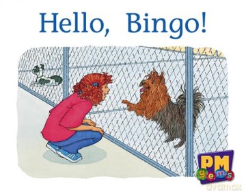 Hello, Bingo! [KSIĄŻKA]