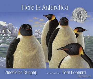 Here Is Antarctica: 7 [KSIĄŻKA]