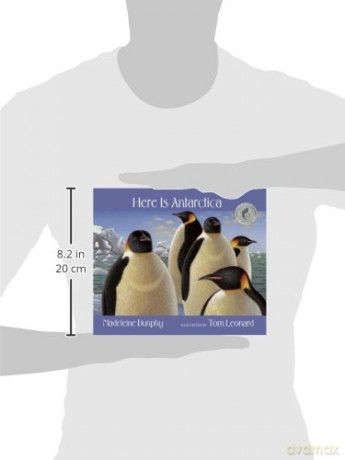 Here Is Antarctica: 7 [KSIĄŻKA]