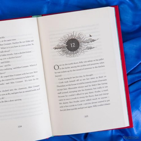 Hidden Treasure: A timeless children's adventure story from the bestselling author of The Miniaturist [KSIĄŻKA]
