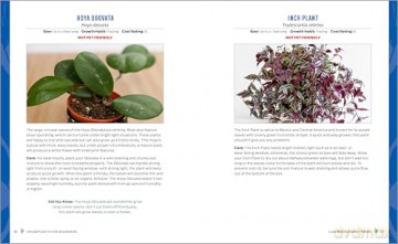 Houseplants for Beginners: A Practical Guide to Choosing, Growing, and Helping Your Plants Thrive [KSIĄŻKA]
