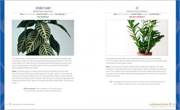 Houseplants for Beginners: A Practical Guide to Choosing, Growing, and Helping Your Plants Thrive [KSIĄŻKA]