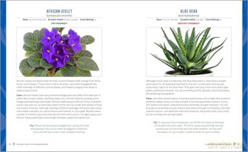 Houseplants for Beginners: A Practical Guide to Choosing, Growing, and Helping Your Plants Thrive [KSIĄŻKA]